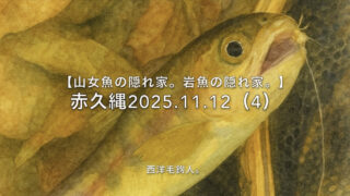 【フライフィッシング】呑気な山女魚・・・？ 