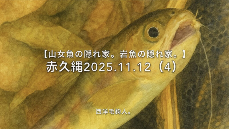 【フライフィッシング】呑気な山女魚・・・？ 