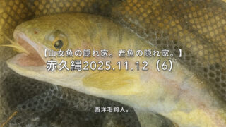 【フライフィッシング】放流点といえど、甘くない！ 