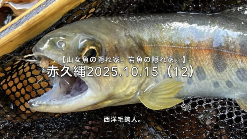 【フライフィッシング】毎日毛鉤を見ている渓魚は、手強い!