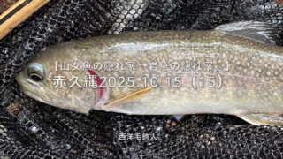 【フライフィッシング】真ん中は釣れない・・・ならば、右岸はどうだ？ 