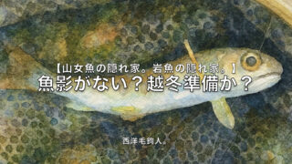 【フライフィッシング】魚影がない？越冬準備か？ 