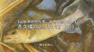 【フライフィッシング】この辺りには、集中的に岩魚を放流したか？ 