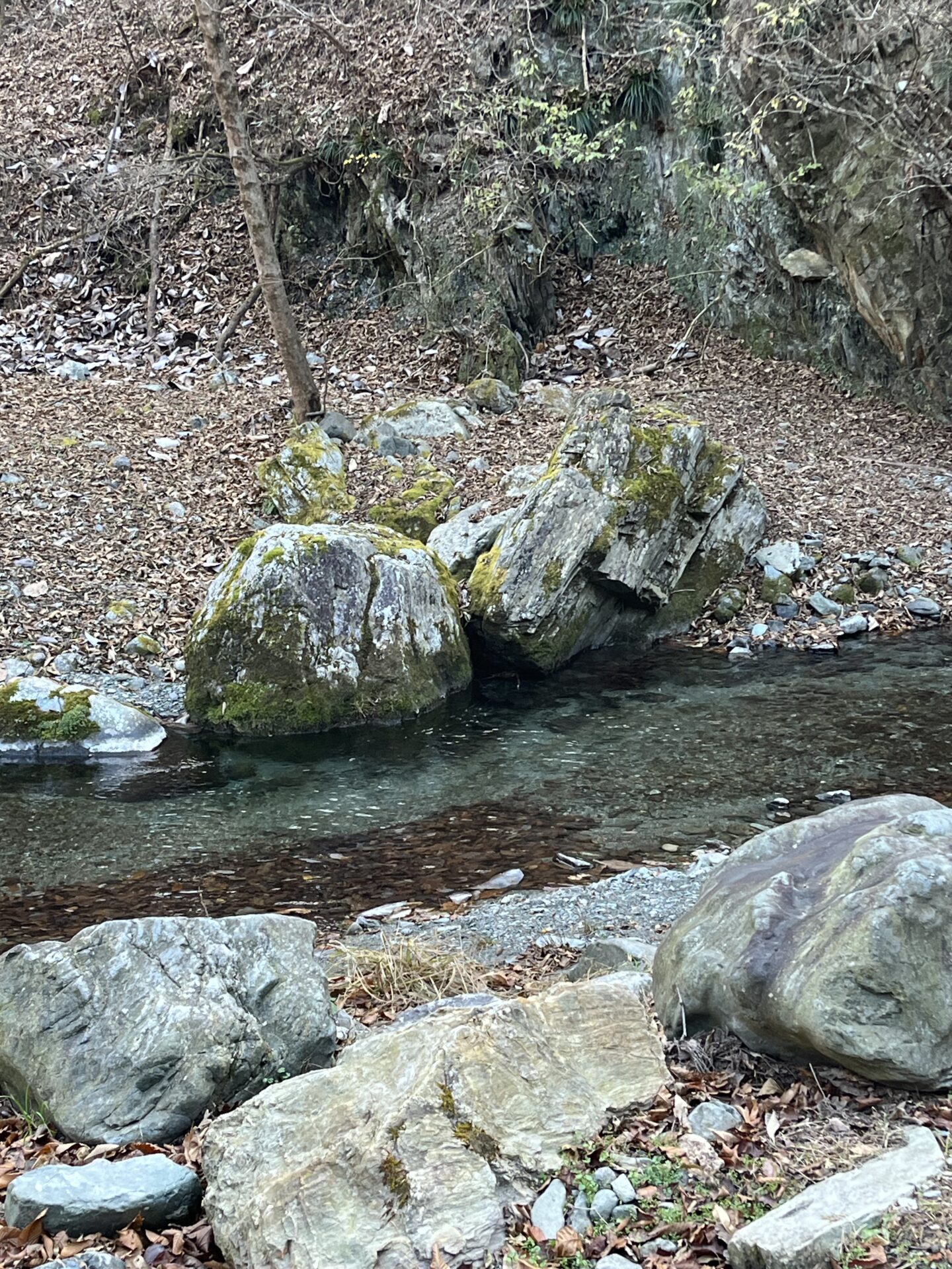 水位
赤久縄
2024.12.11