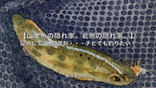【フライフィッシング】寝坊して1時間遅刻・・・チビでも釣りたい！ 