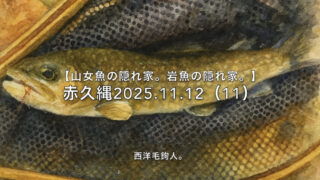 【フライフィッシング】典型的なポイントだけど、キャスト。 