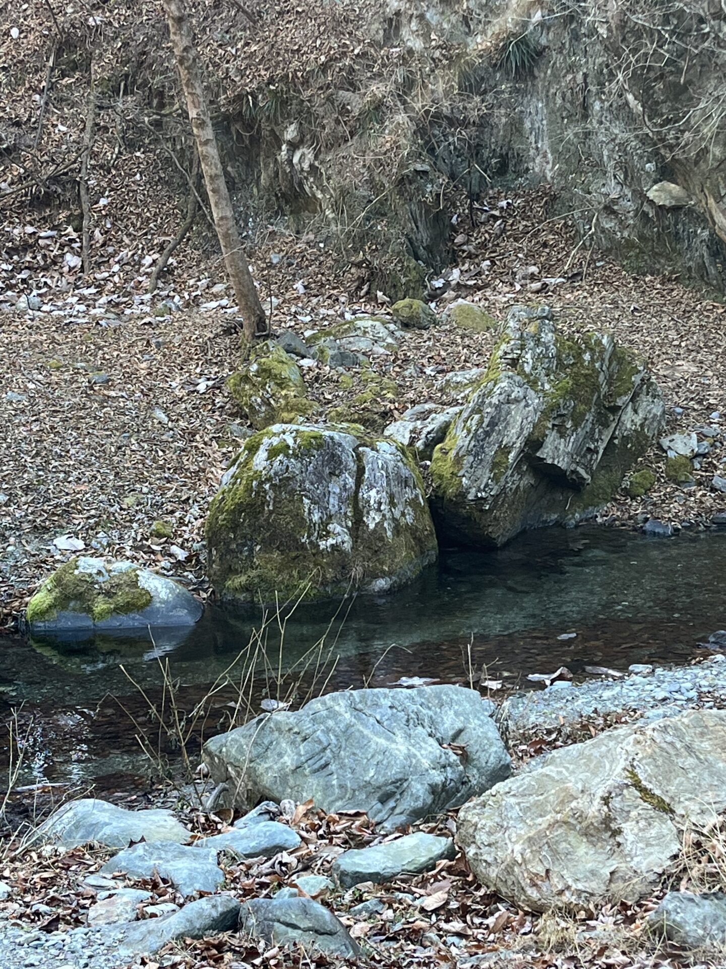 水位
赤久縄
2025.12.10