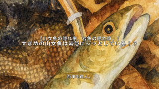 【フライフィッシング】大きめの山女魚は岩陰にジッとしている！？ 