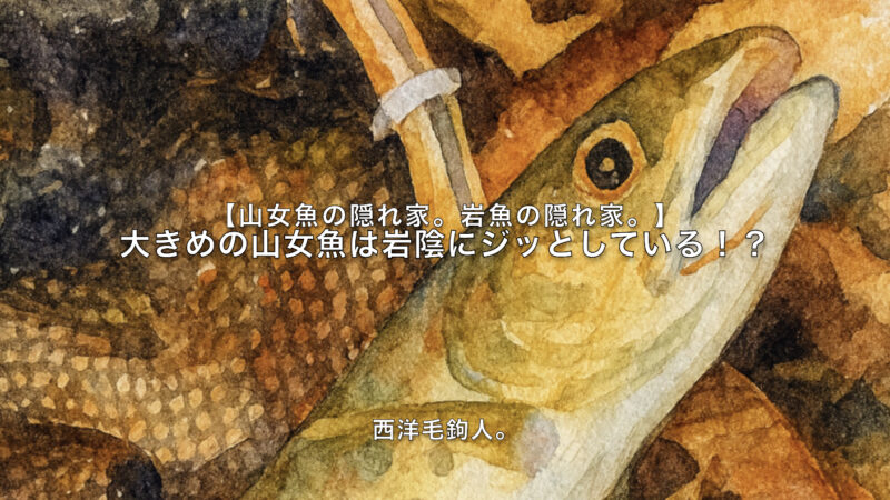 【フライフィッシング】大きめの山女魚は岩陰にジッとしている！？ 