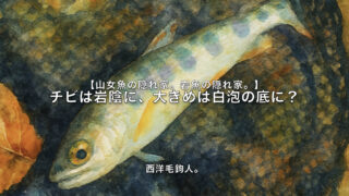 【フライフィッシング】チビは岩陰に、大きめは白泡の底に？ 