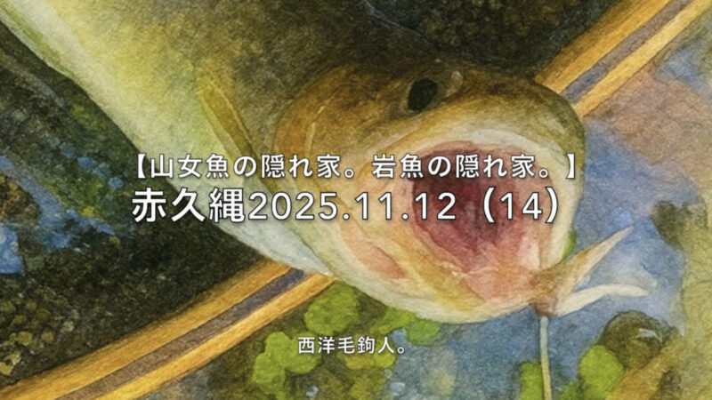 【フライフィッシング】岩魚狙いなら、岸際一択！ 