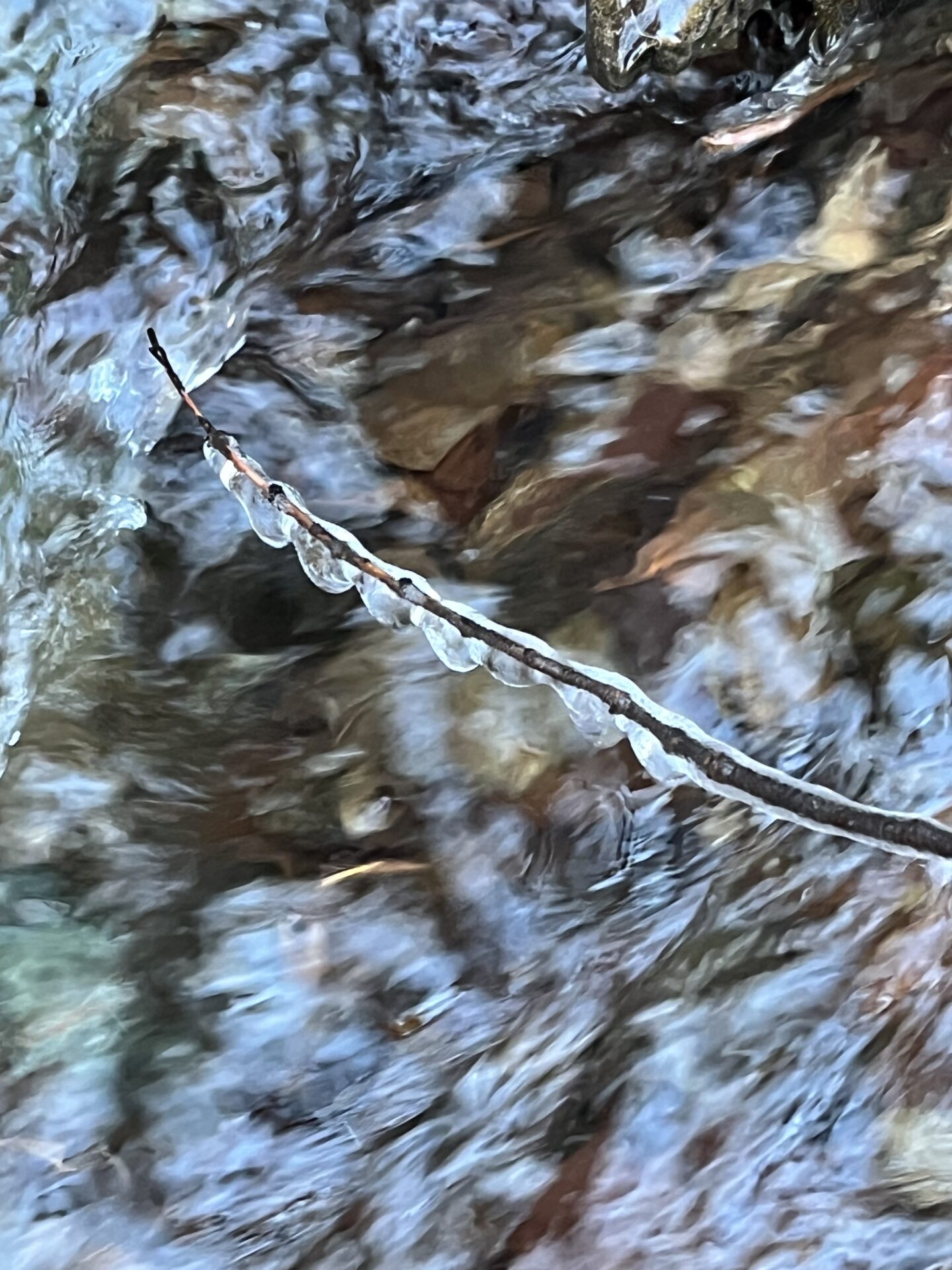 真冬の風景
赤久縄
2025.12.10