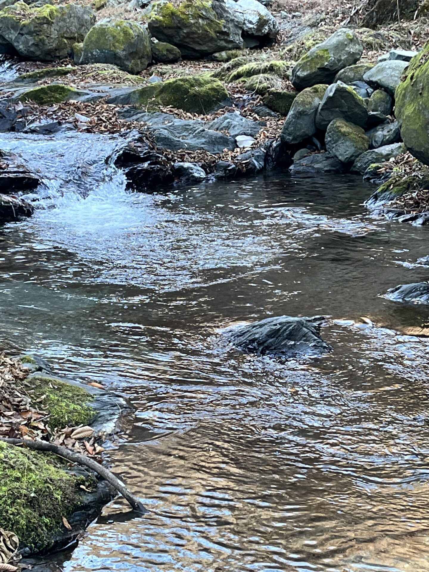 【山女魚の隠れ家。岩魚の隠れ家。】
赤久縄
2025.12.10(8)
岩魚