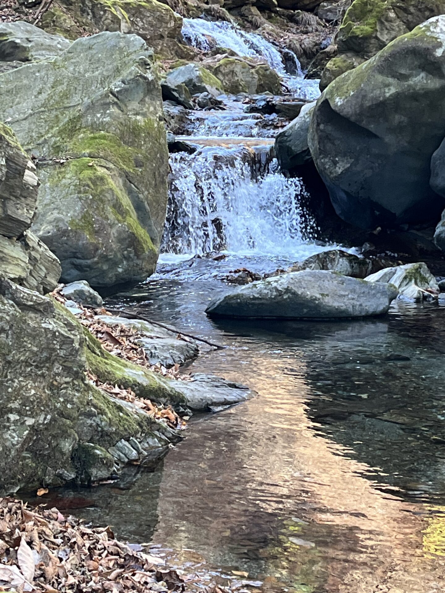 【山女魚の隠れ家。岩魚の隠れ家。】
赤久縄
2025.12.10(5)
山女魚
ポイント