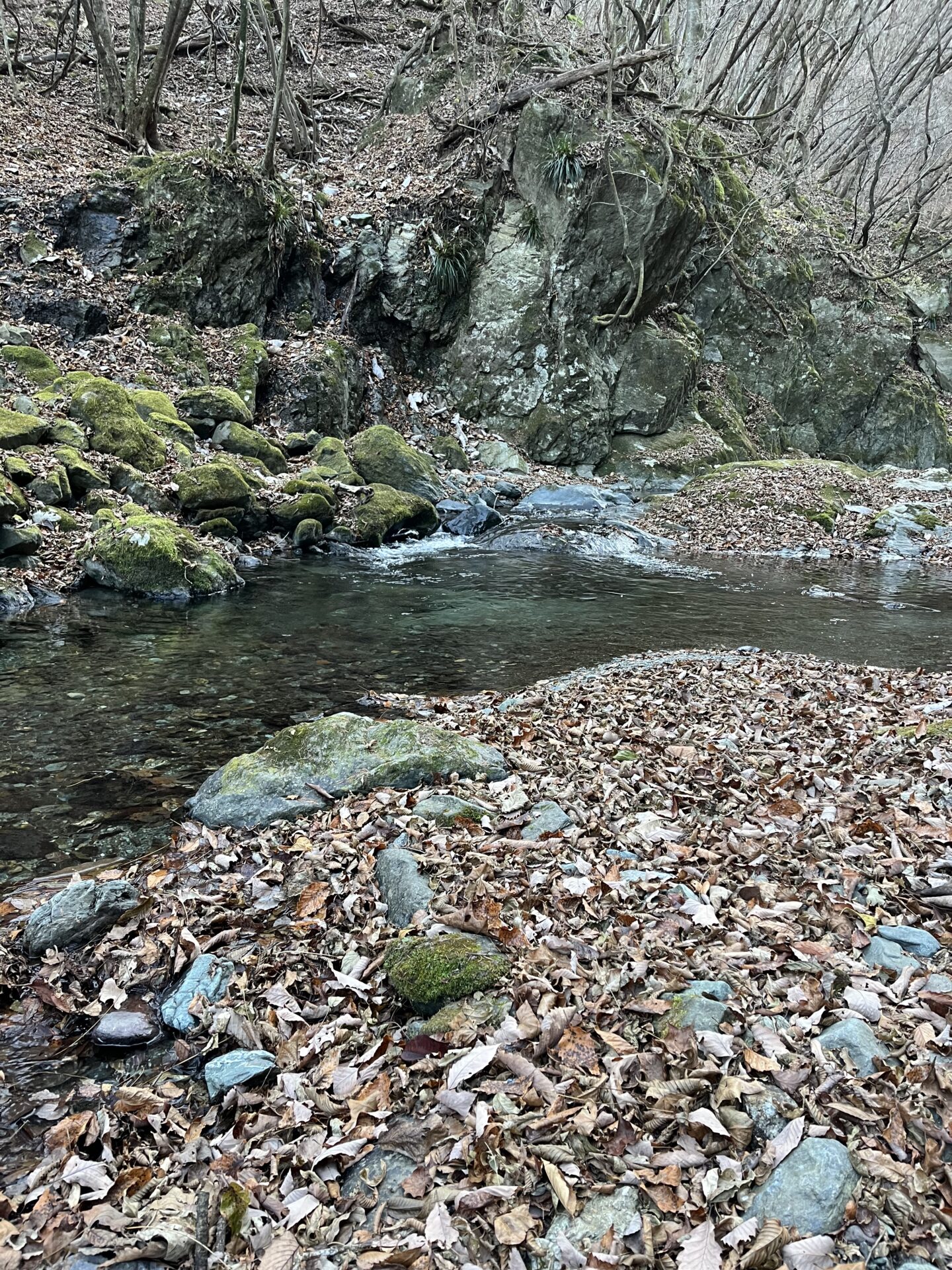 【山女魚の隠れ家。岩魚の隠れ家。】
赤久縄
2025.12.10(8)
岩魚
ポイント
