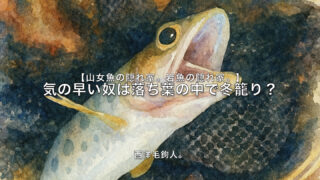 【フライフィッシング】気の早い奴は落ち葉の中で冬籠り？ 
