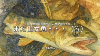 【フライフィッシング】また山女魚・・・（泣） 