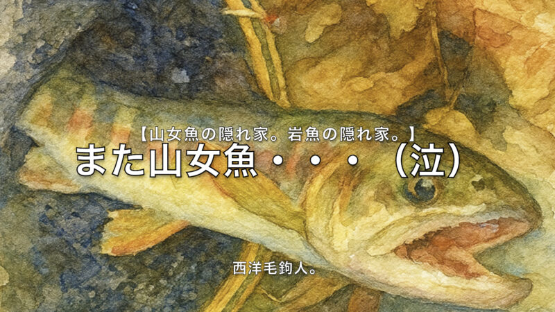 【フライフィッシング】また山女魚・・・（泣） 