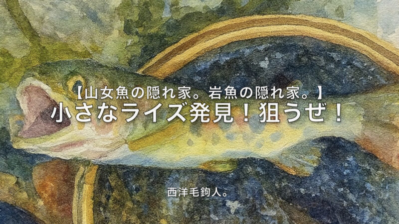 【フライフィッシング】小さなライズ発見！狙うぜ！ 