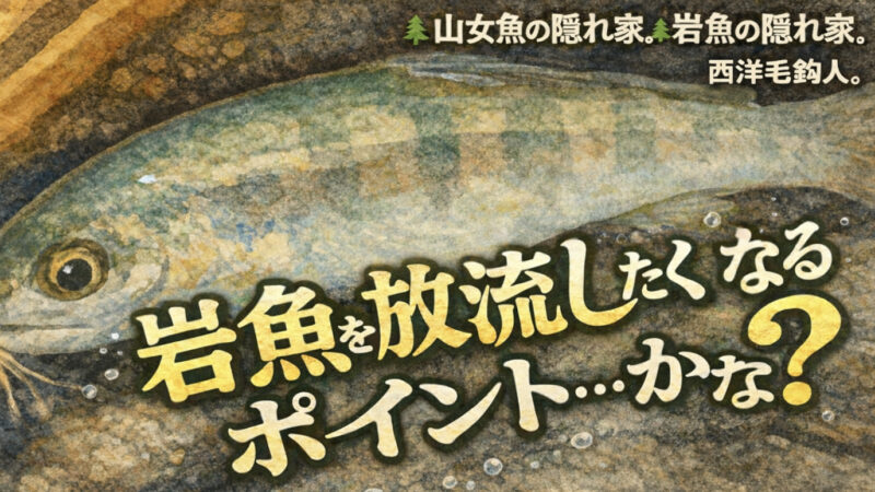 【フライフィッシング】岩魚を放流したくなるポイント・・・かな？ 