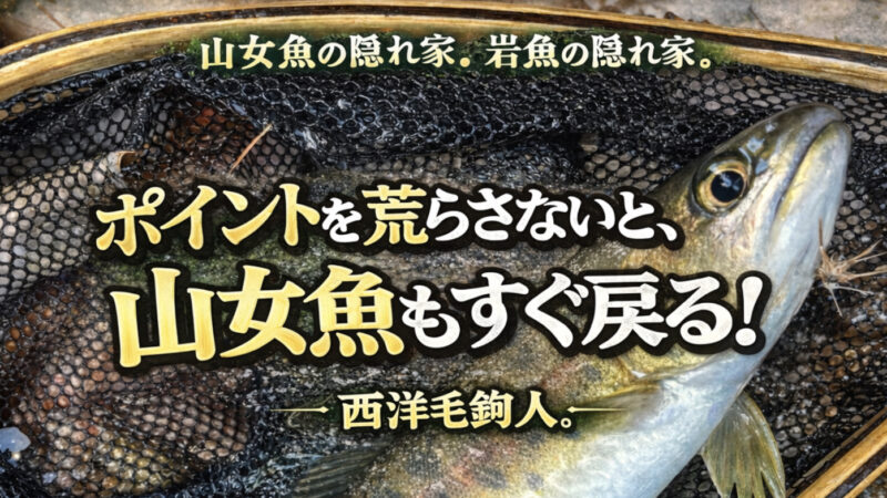 【フライフィッシング】ポイントを荒らさないと、山女魚もすぐ戻る！ 