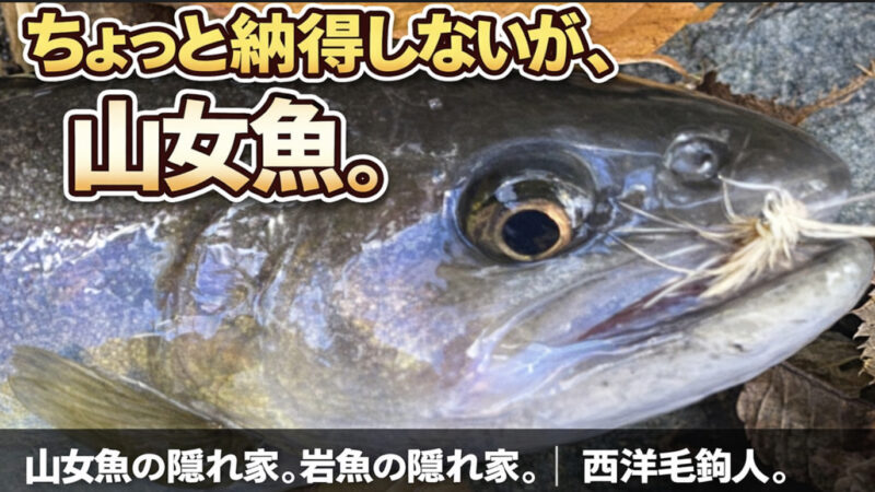 【フライフィッシング】ちょっと納得しないが、山女魚。 