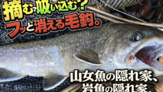 【フライフィッシング】摘む？吸い込む？フッと消える毛鉤。 