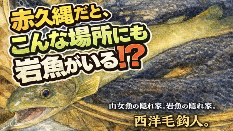 【フライフィッシング】赤久縄だと、こんな場所にも岩魚がいる！？ 