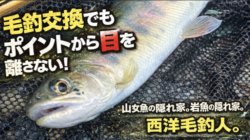 【フライフィッシング】毛鉤交換でもポイントから目を離さない！ 