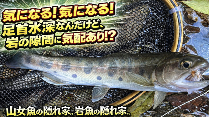 【フライフィッシング】気になる！気になる！足首水深なんだけど、岩の隙間に気配あり！？ 