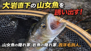 【フライフィッシング】大岩直下の山女魚を誘い出す！ 