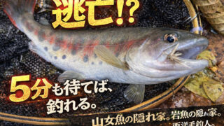 【フライフィッシング】逃亡！？５分も待てば、釣れる。 