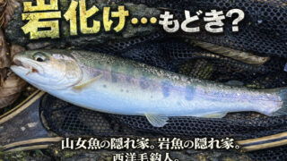 【フライフィッシング】岩化け・・・もどき？ 