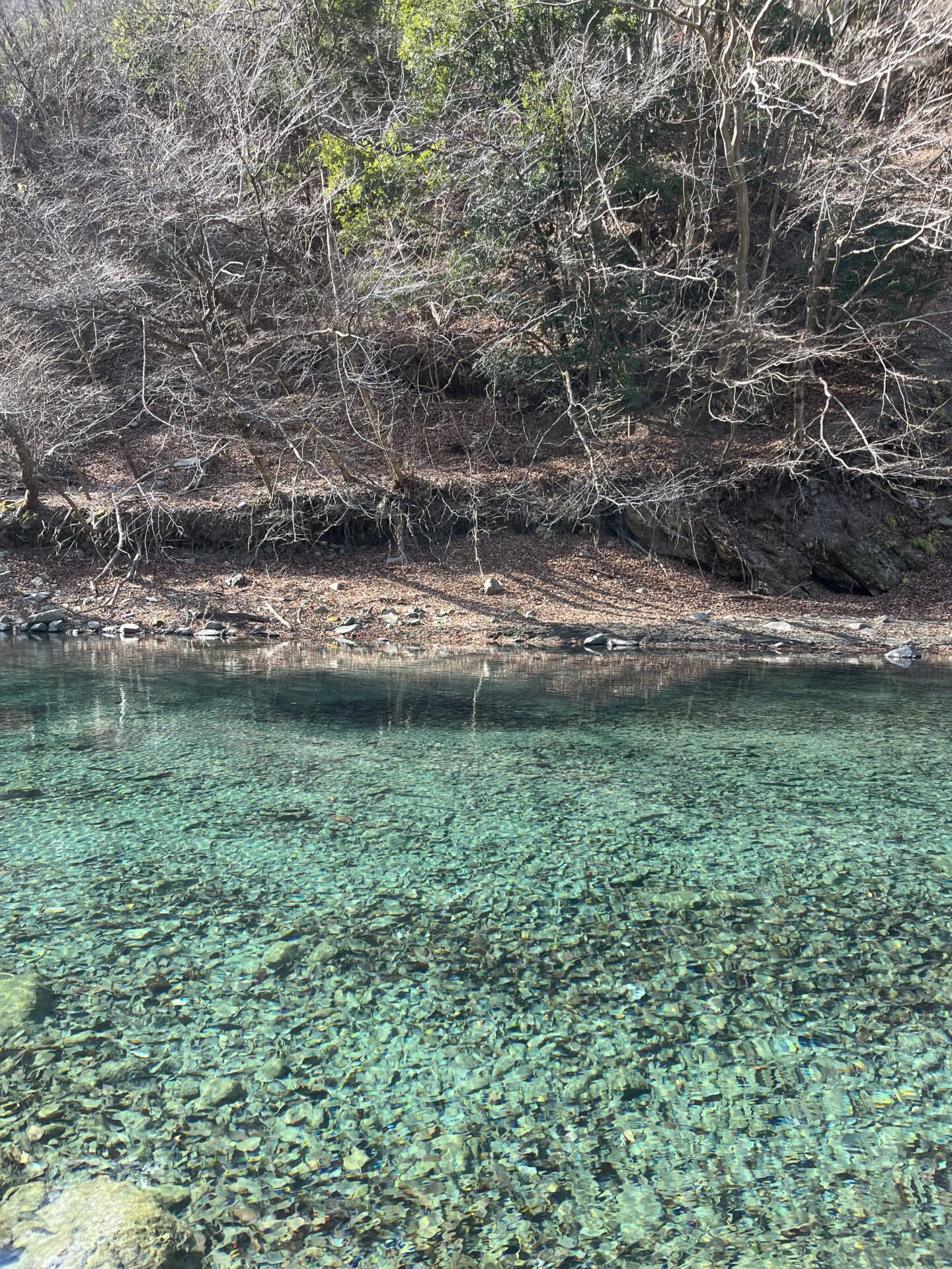 虹鱒
うらたん
2026.1.28
13:12
ポイント