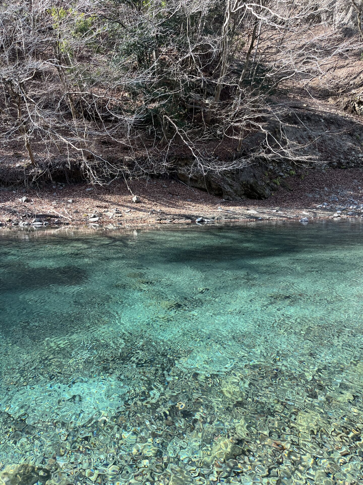 虹鱒
うらたん
2026.1.28
13:22
ポイント