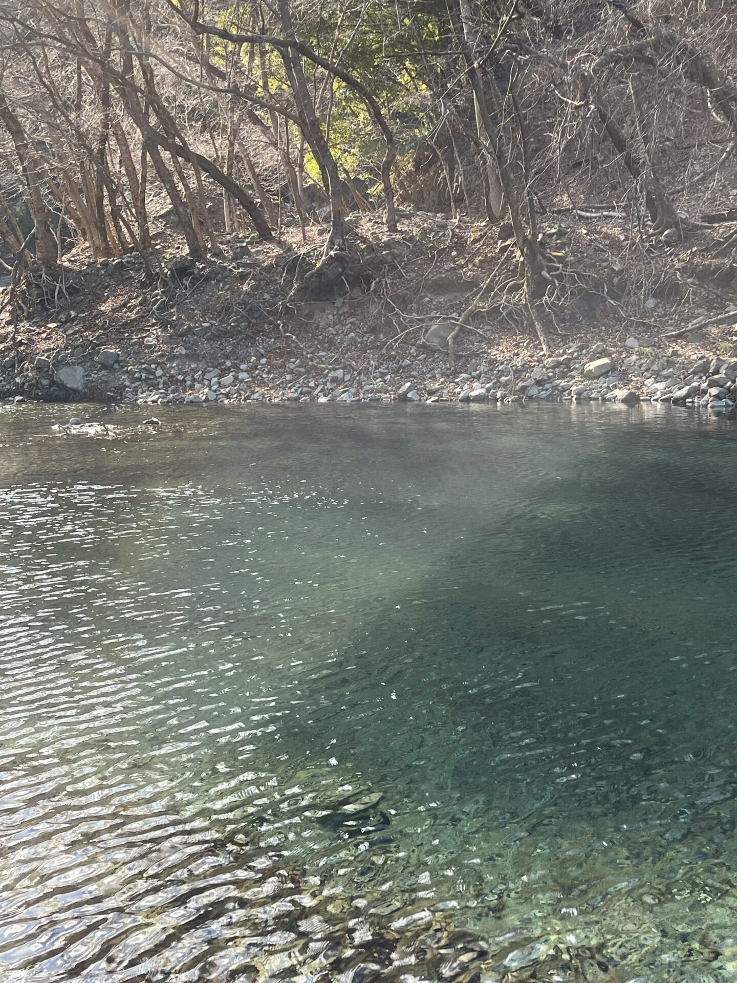 虹鱒
うらたん
2026.1.28
13:29
ポイント