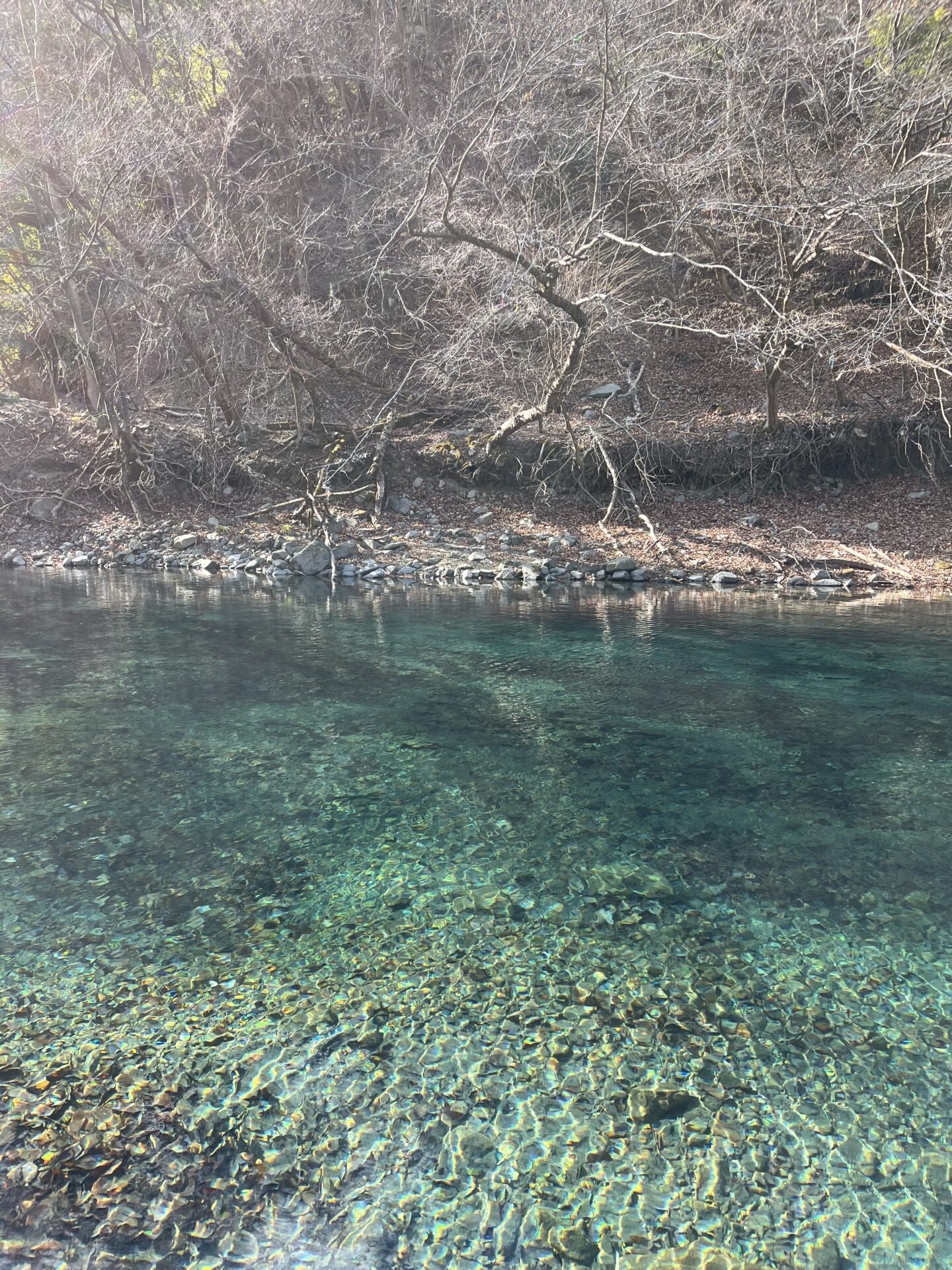 虹鱒
うらたん
2026.1.28
13:33
ポイント