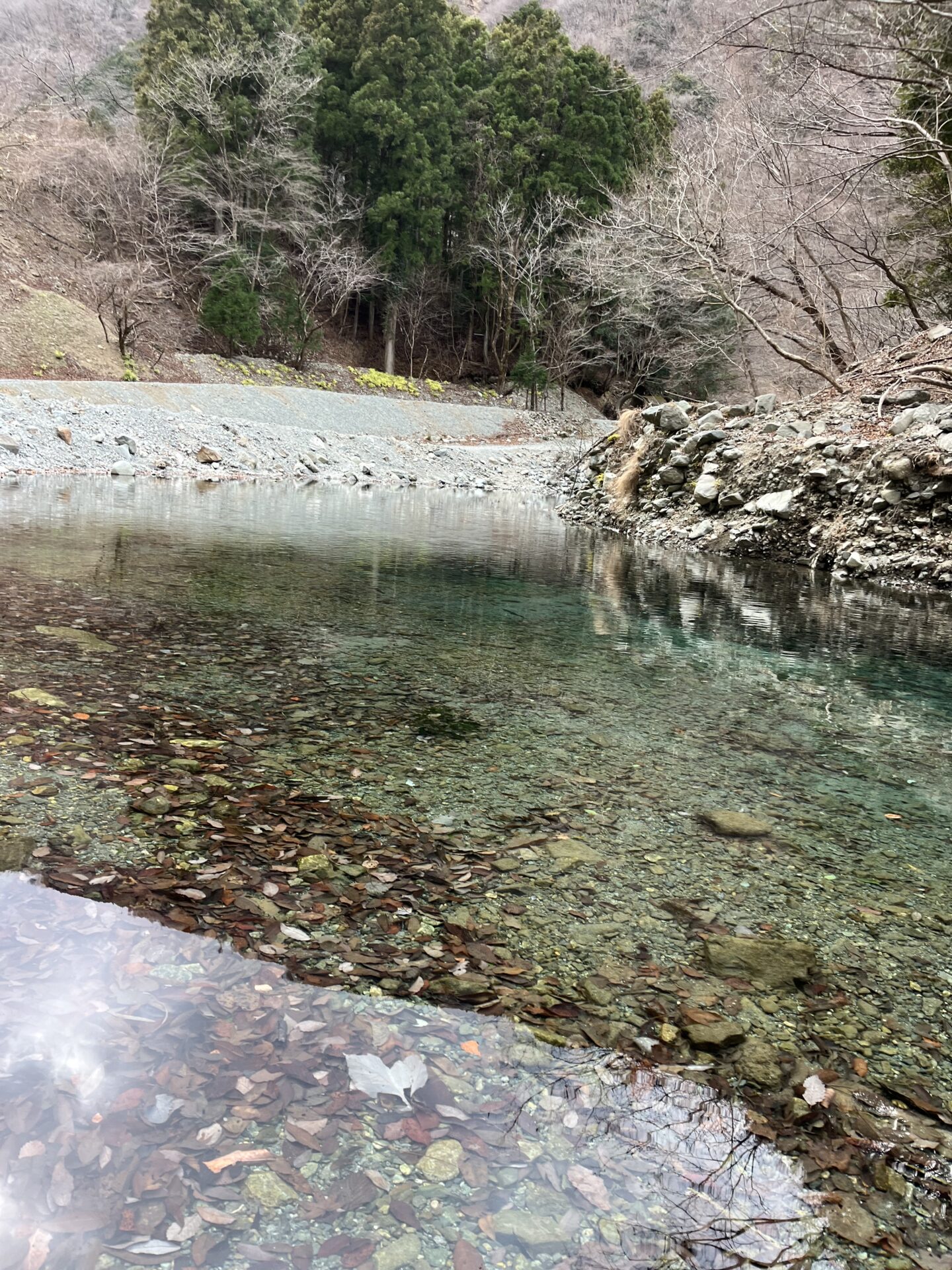 虹鱒
うらたん
2026.1.28
14:41
ポイント