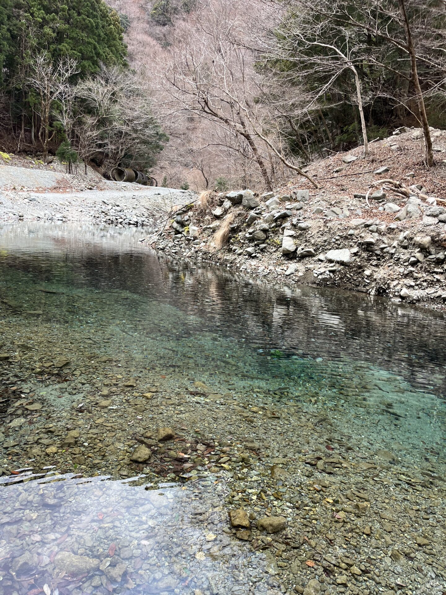 虹鱒
うらたん
2026.1.28
14:52
ポイント