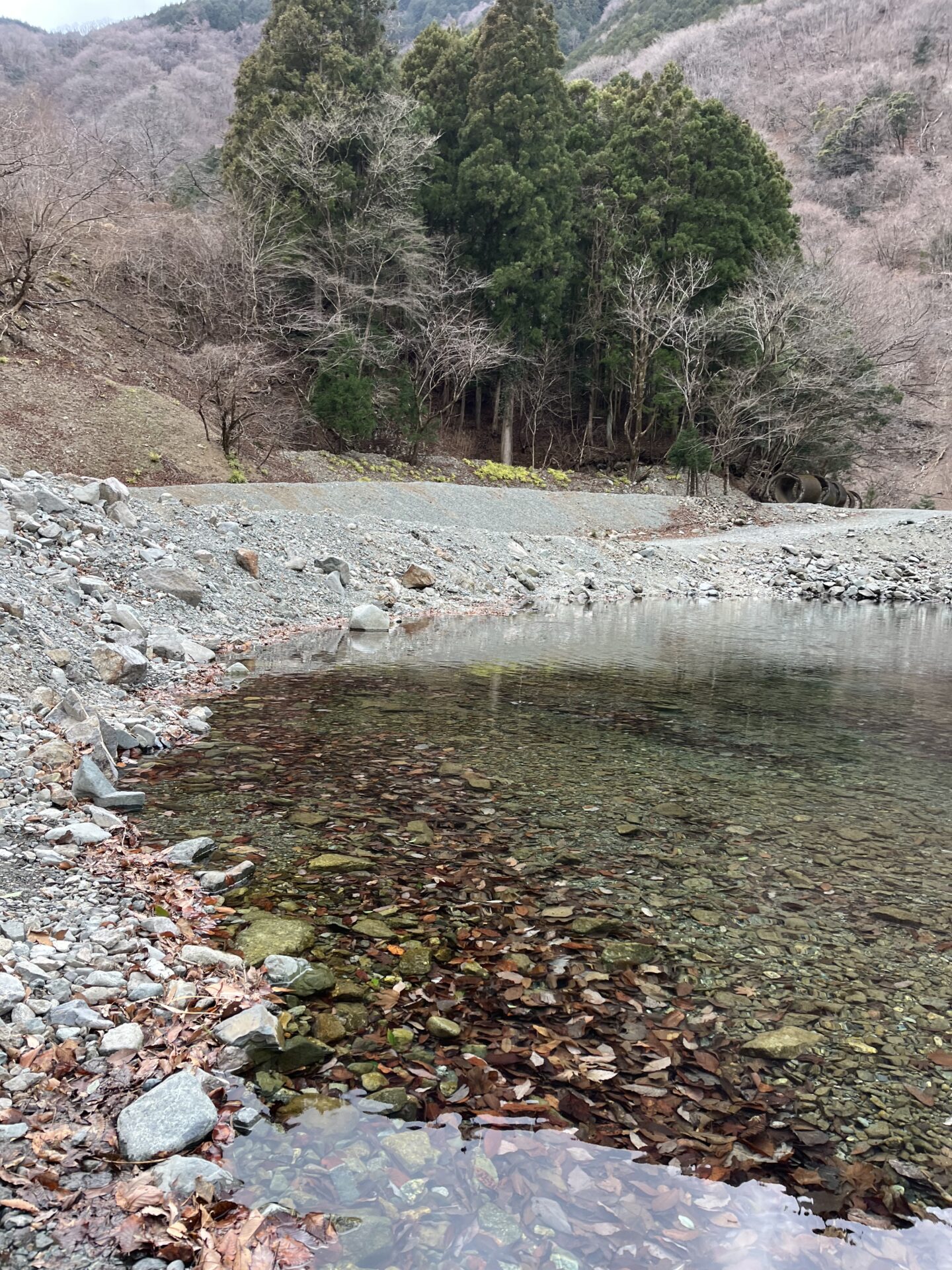 虹鱒
うらたん
2026.1.28
14:59
ポイント