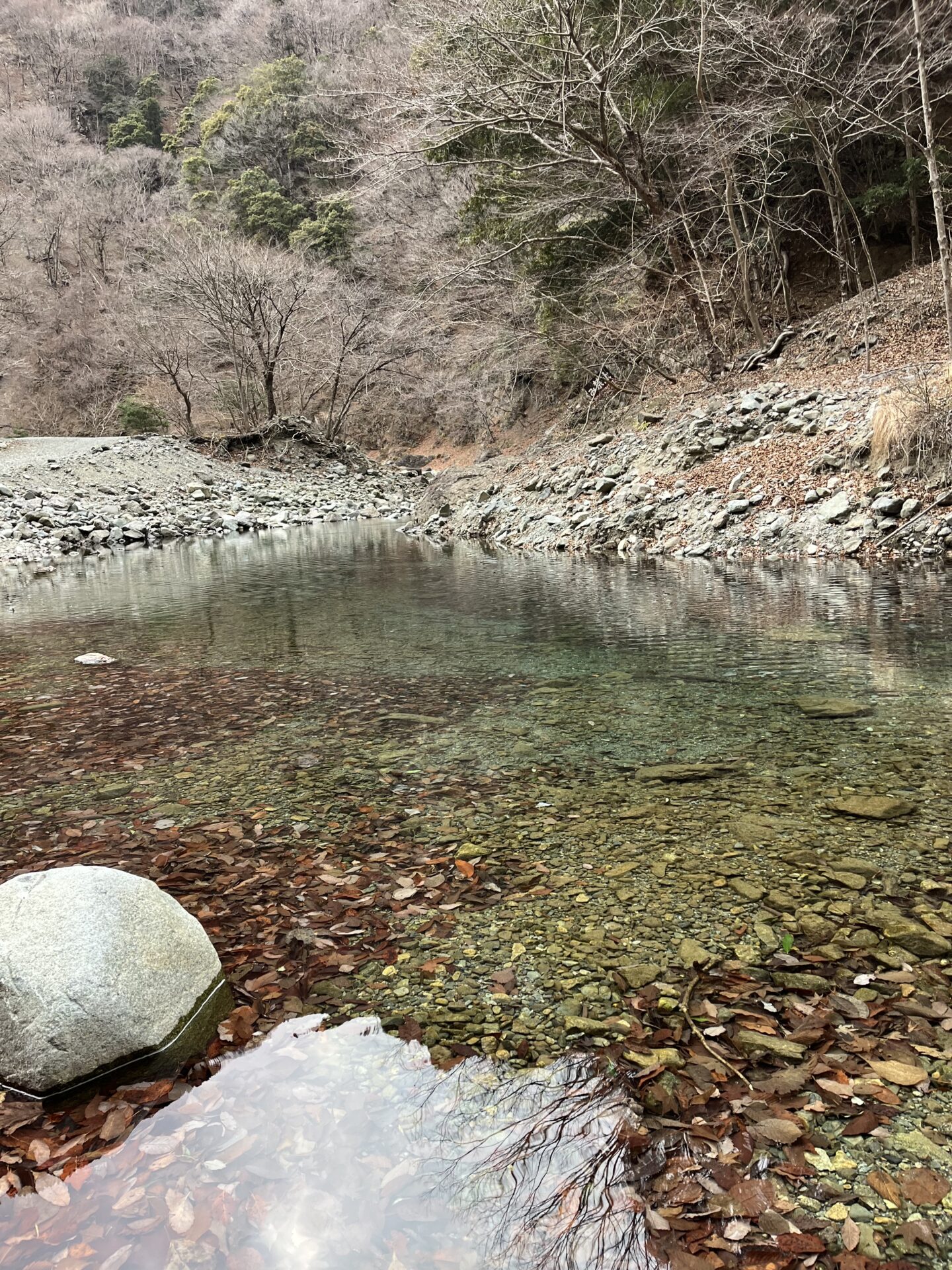 虹鱒
うらたん
2026.1.28
15:14
ポイント
