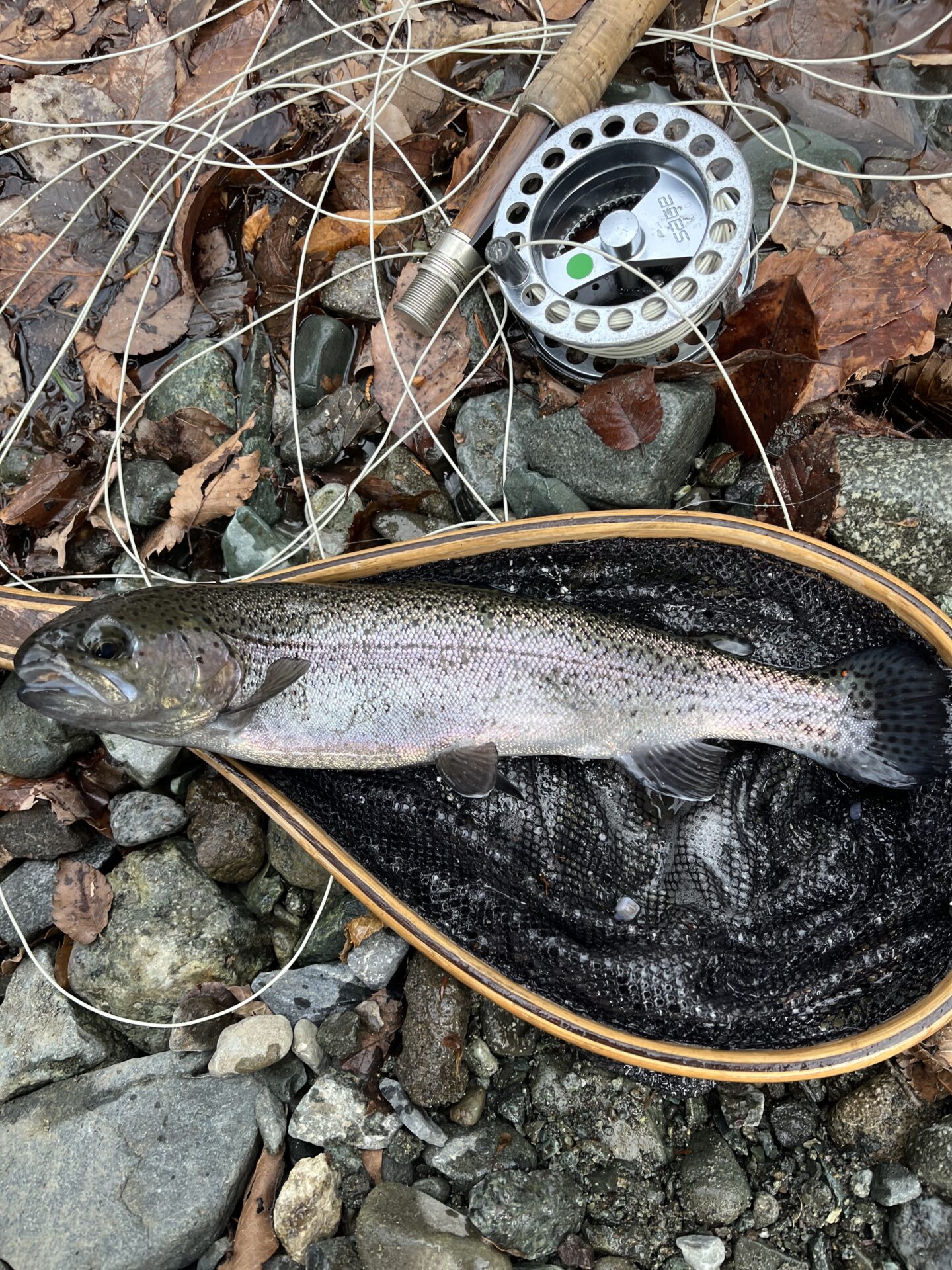 虹鱒
うらたん
2026.1.28
15:20