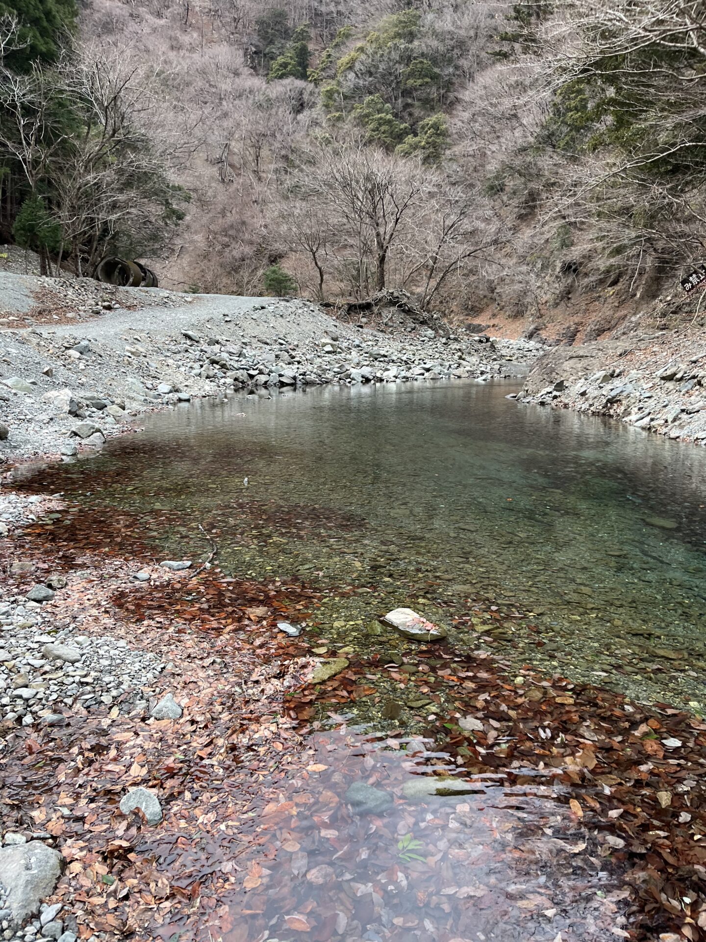虹鱒
うらたん
2026.1.28
15:20
ポイント