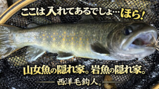 【フライフィッシング】ここは入れてあるでしょ・・・ほら！ 