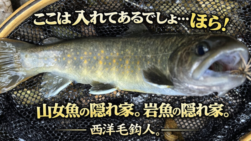 【フライフィッシング】ここは入れてあるでしょ・・・ほら！ 