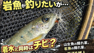 【フライフィッシング】岩魚が釣りたいが・・・着水と同時はチビ！？ 