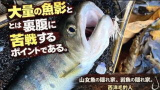 【フライフィッシング】大量の魚影とは裏腹に苦戦するポイントである。 