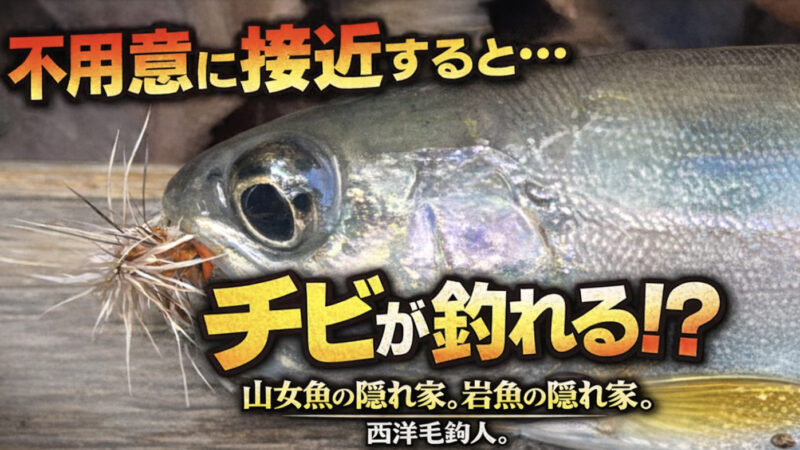 【フライフィッシング】不用意に接近すると・・・チビが釣れる！？ 