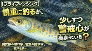 【フライフィッシング】慎重に釣るが、少しずつ警戒心が高まっている？ 