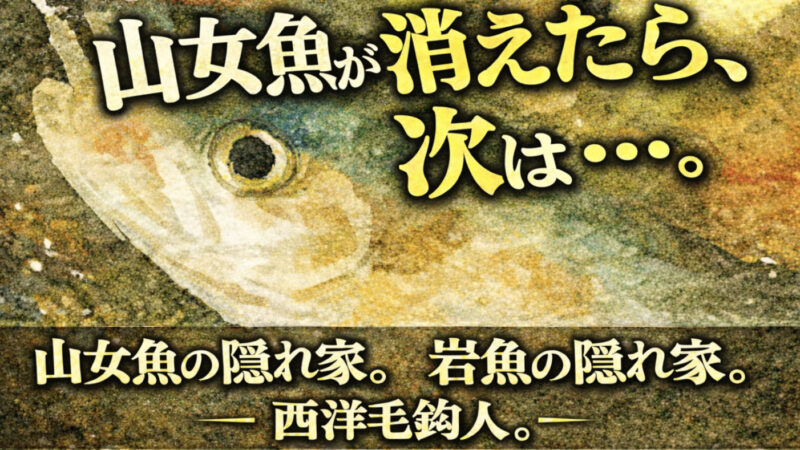 【フライフィッシング】山女魚が消えたら、次は・・・。 